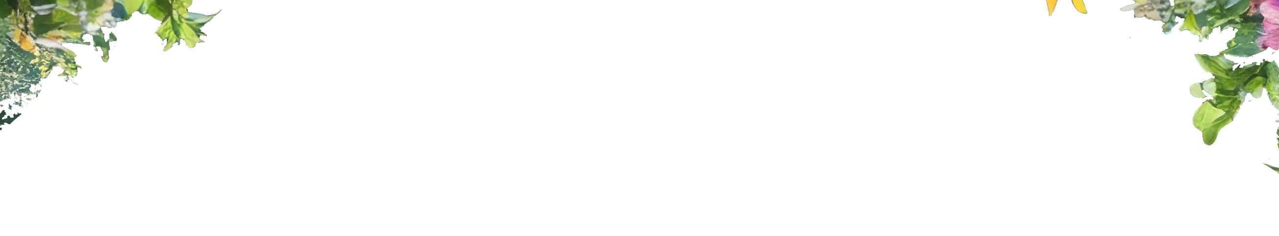 Fleur coupée
